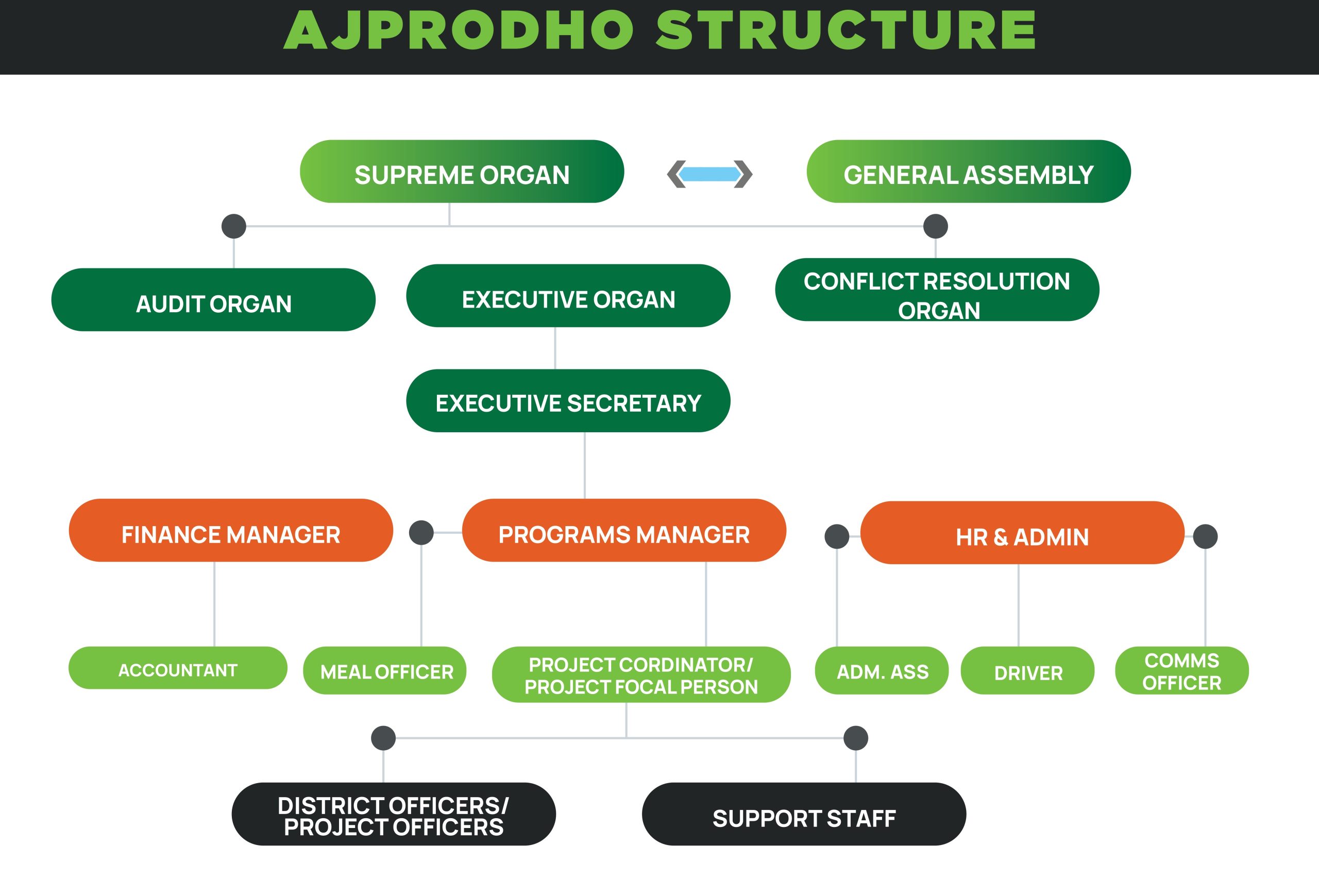 STRUCTURE_page-0001